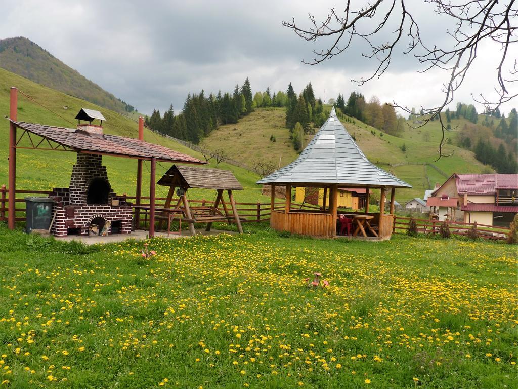 Pensiunea La Ionica Dimbovicioara Exterior photo